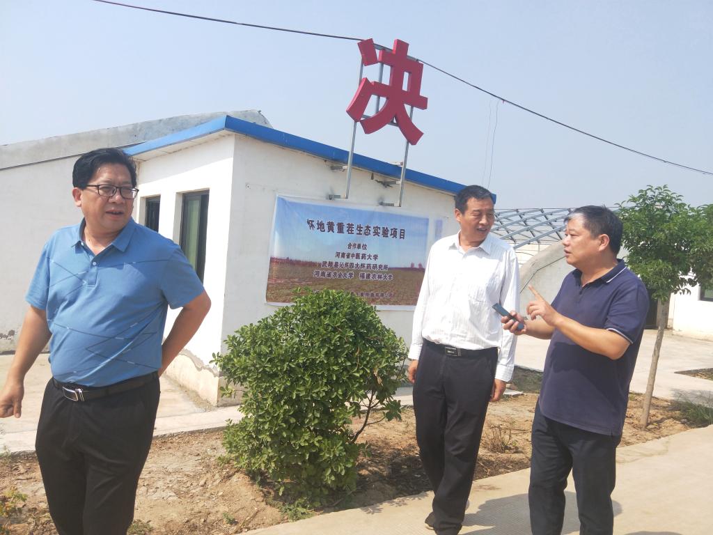 泰丰食用菌基地参观