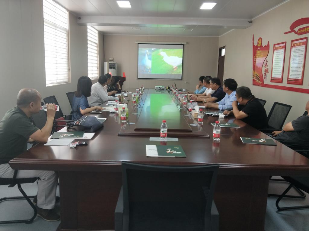 旭瑞集团座谈